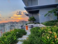 Sturdee Residences (D8), Condominium #239896861